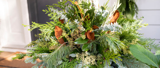 How To Create A Winter Evergreens Planter