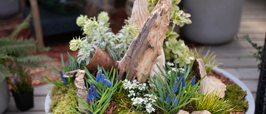 Woodland Walk Landscape Planter DIY