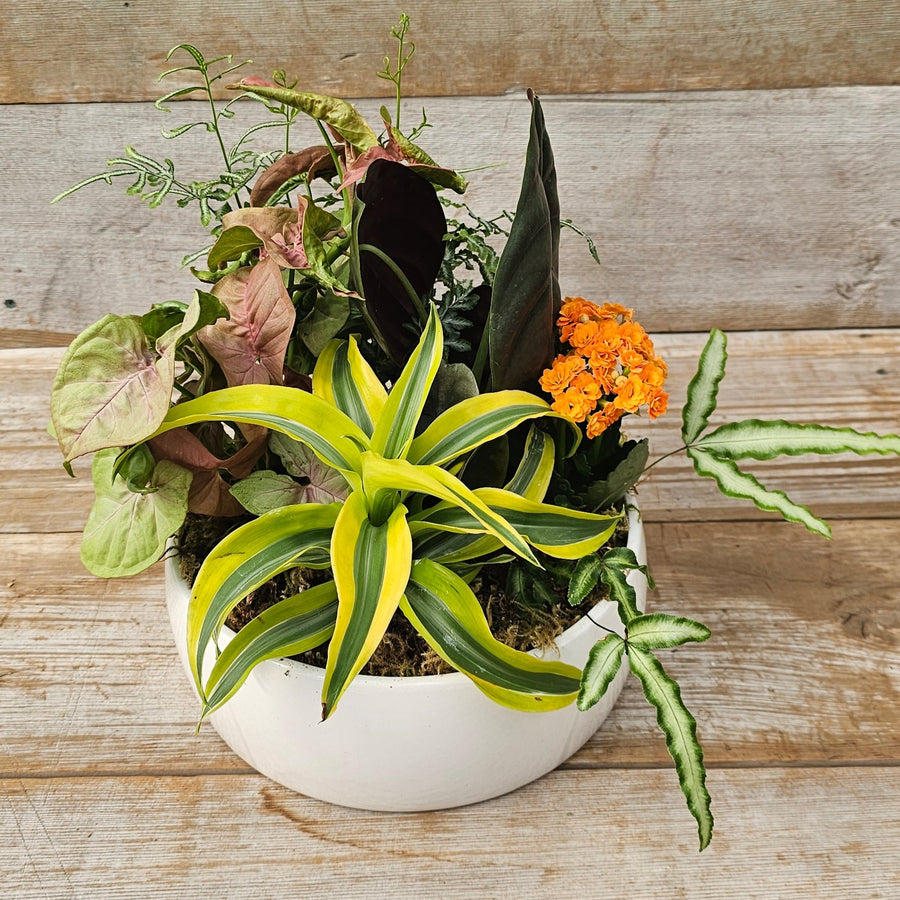 Summer Tropical Planter Workshop - Aug 23rd (2 time slots available)
