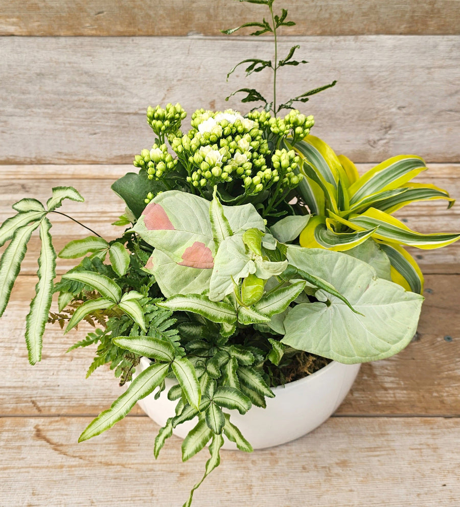 Summer Tropical Planter Workshop - Aug 23rd (2 time slots available)