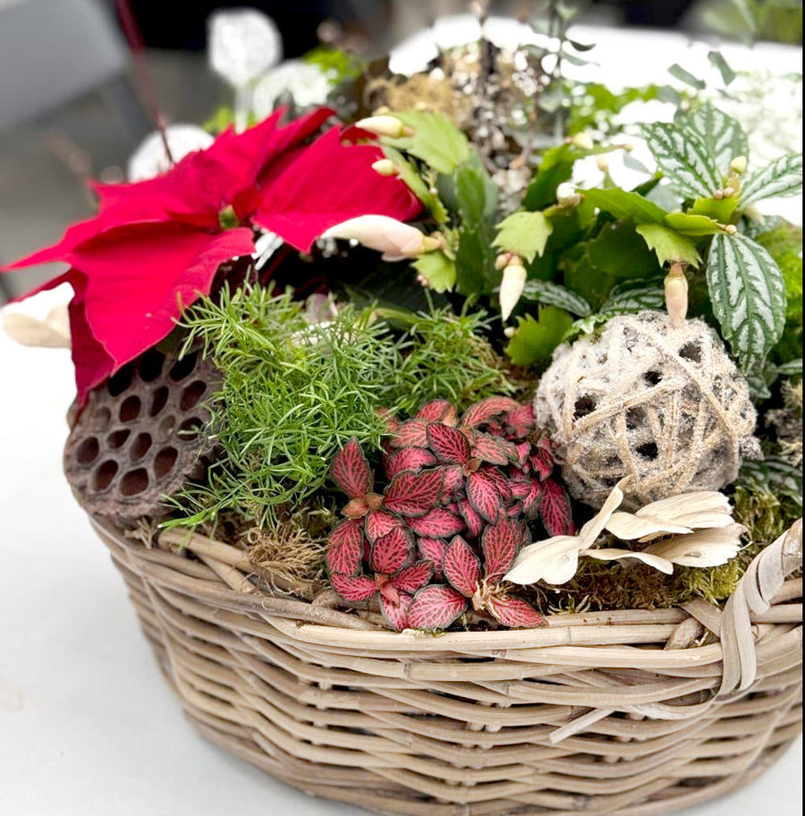 Workshop - Holiday Wicker Planter - Various Dates Available