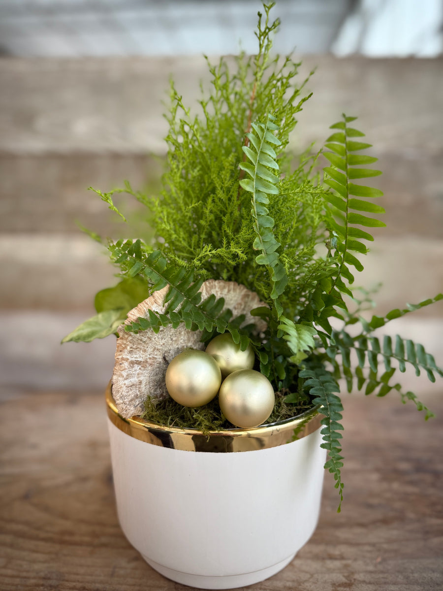 Pre-order - Winter Forest Planter in White 2025