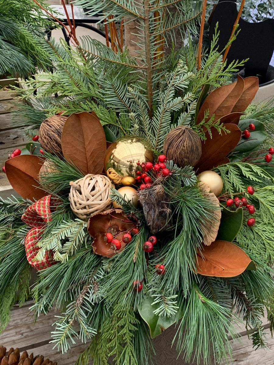 Winter Evergreens Planter Workshop - Various Dates Available