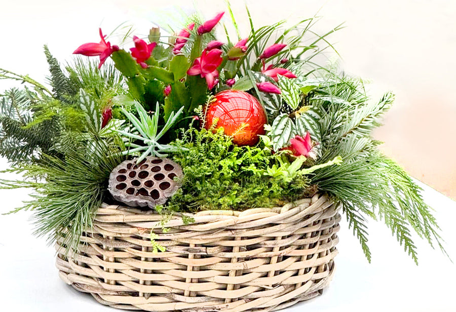 Workshop - Holiday Wicker Planter - Various Dates Available