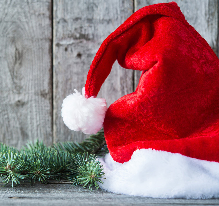 Photos with Santa November 29th