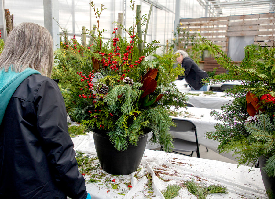 Winter Evergreens Planter Workshop - Various Dates Available