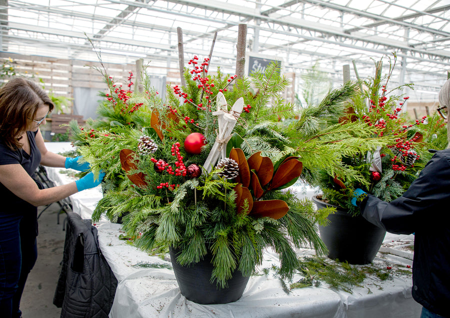 Winter Evergreens Planter Workshop - Various Dates Available