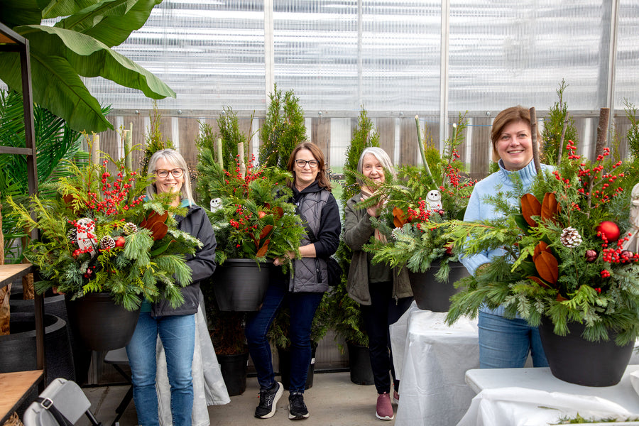 Winter Evergreens Planter Workshop - Various Dates Available