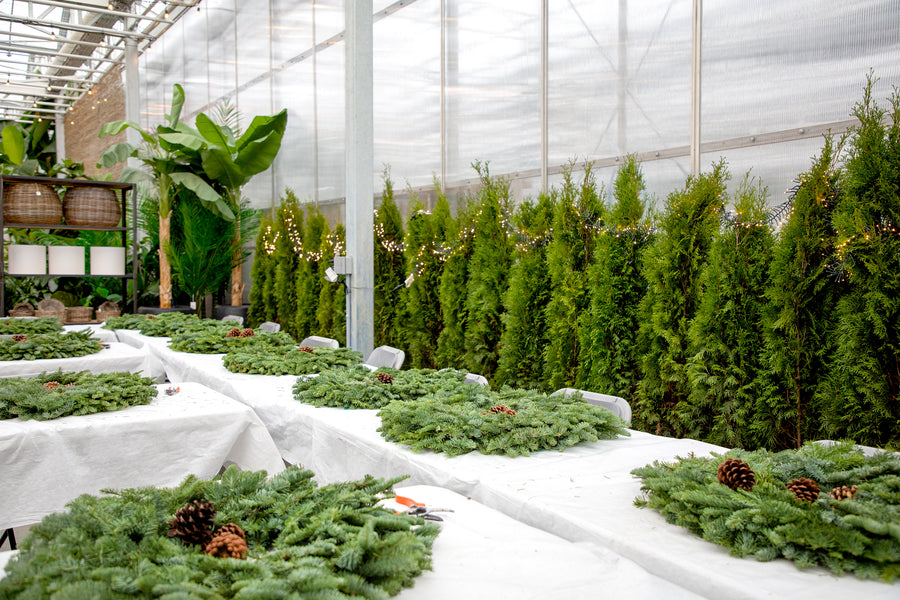 Holiday Evergreen Wreath Workshop - Various Dates Available