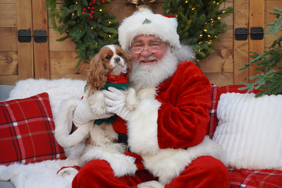 Photos with Santa December 13th