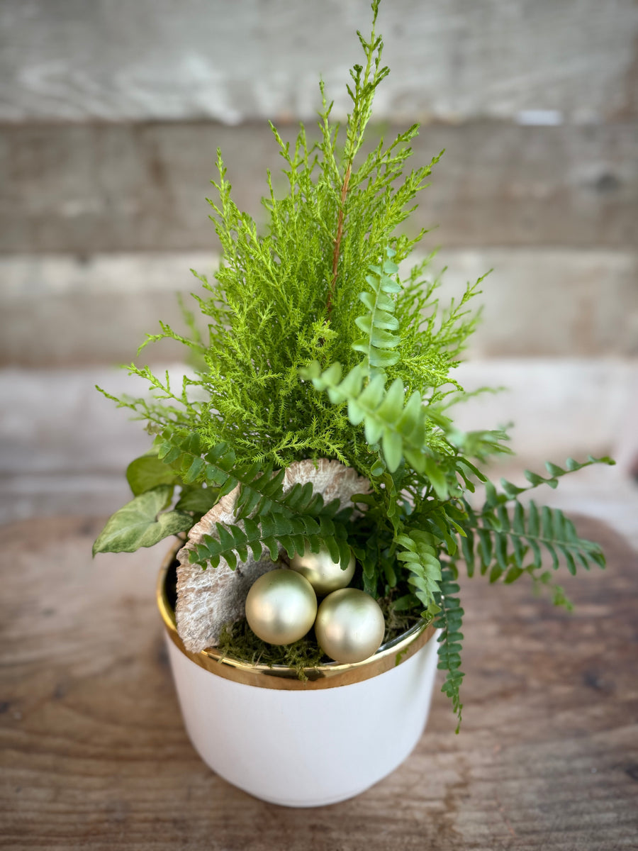 Pre-order - Winter Forest Planter in White 2025