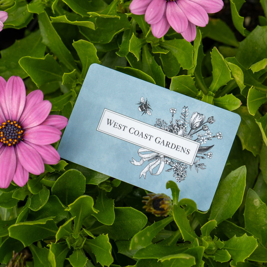 West Coast Gardens Gift Card