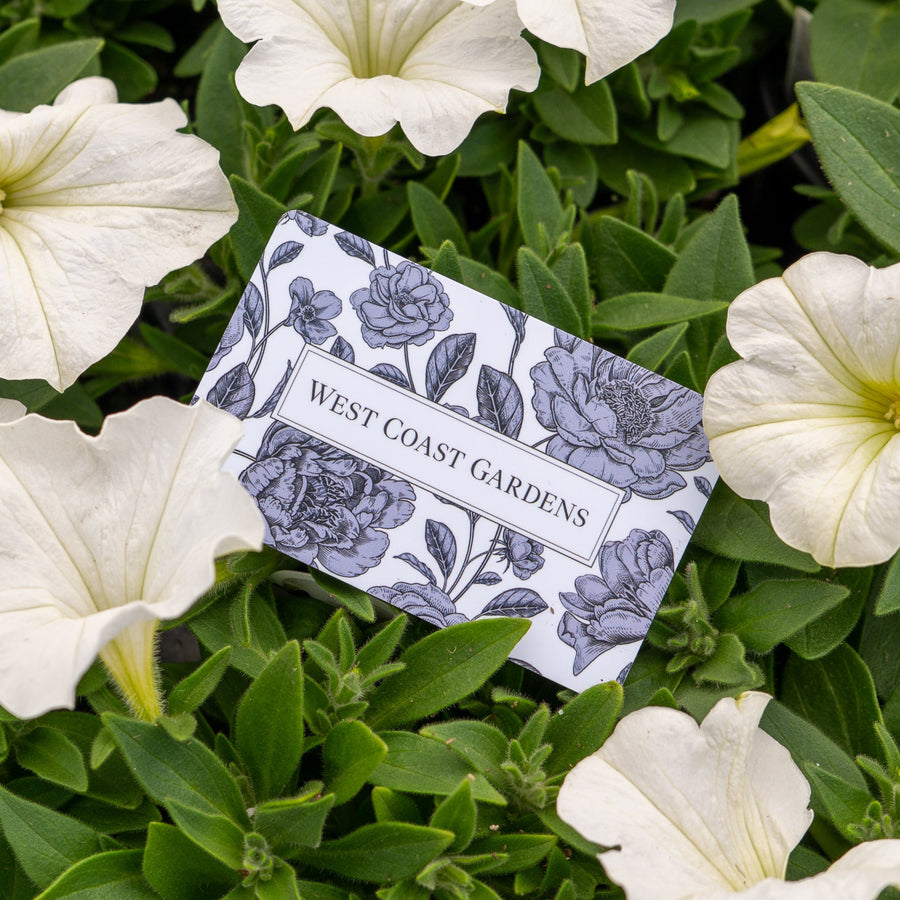 West Coast Gardens Gift Card