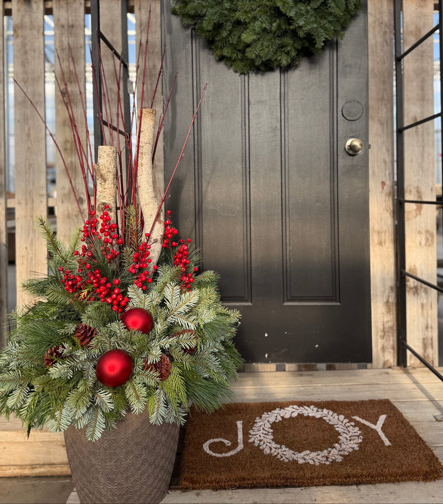 Pre-order Winter Evergreens Planter - Red Berry Ridge 2025