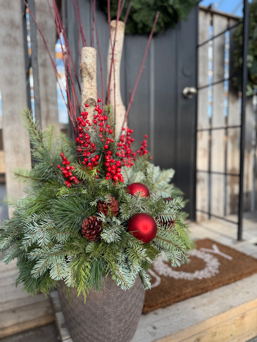Pre-order Winter Evergreens Planter - Red Berry Ridge 2025