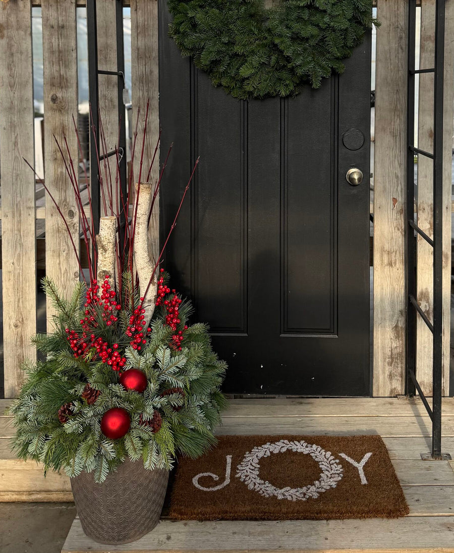 Pre-order Winter Evergreens Planter - Red Berry Ridge 2025