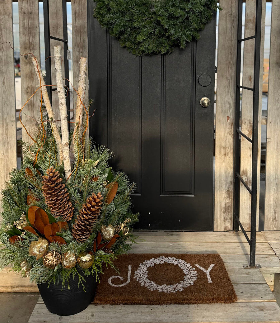 Pre-order Winter Evergreens Planter - Magnolia Pine Trail 2025