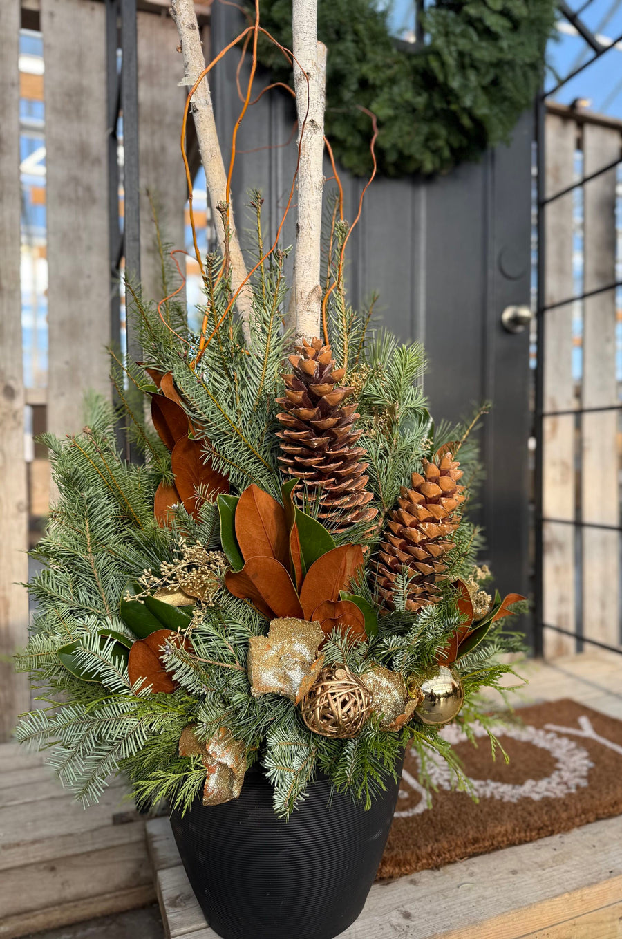 Pre-order Winter Evergreens Planter - Magnolia Pine Trail 2025