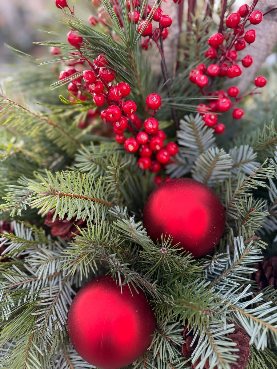 Pre-order Winter Evergreens Planter - Red Berry Ridge 2025