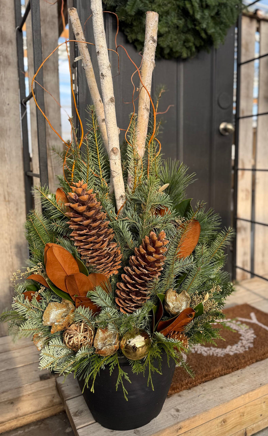 Pre-order Winter Evergreens Planter - Magnolia Pine Trail 2025