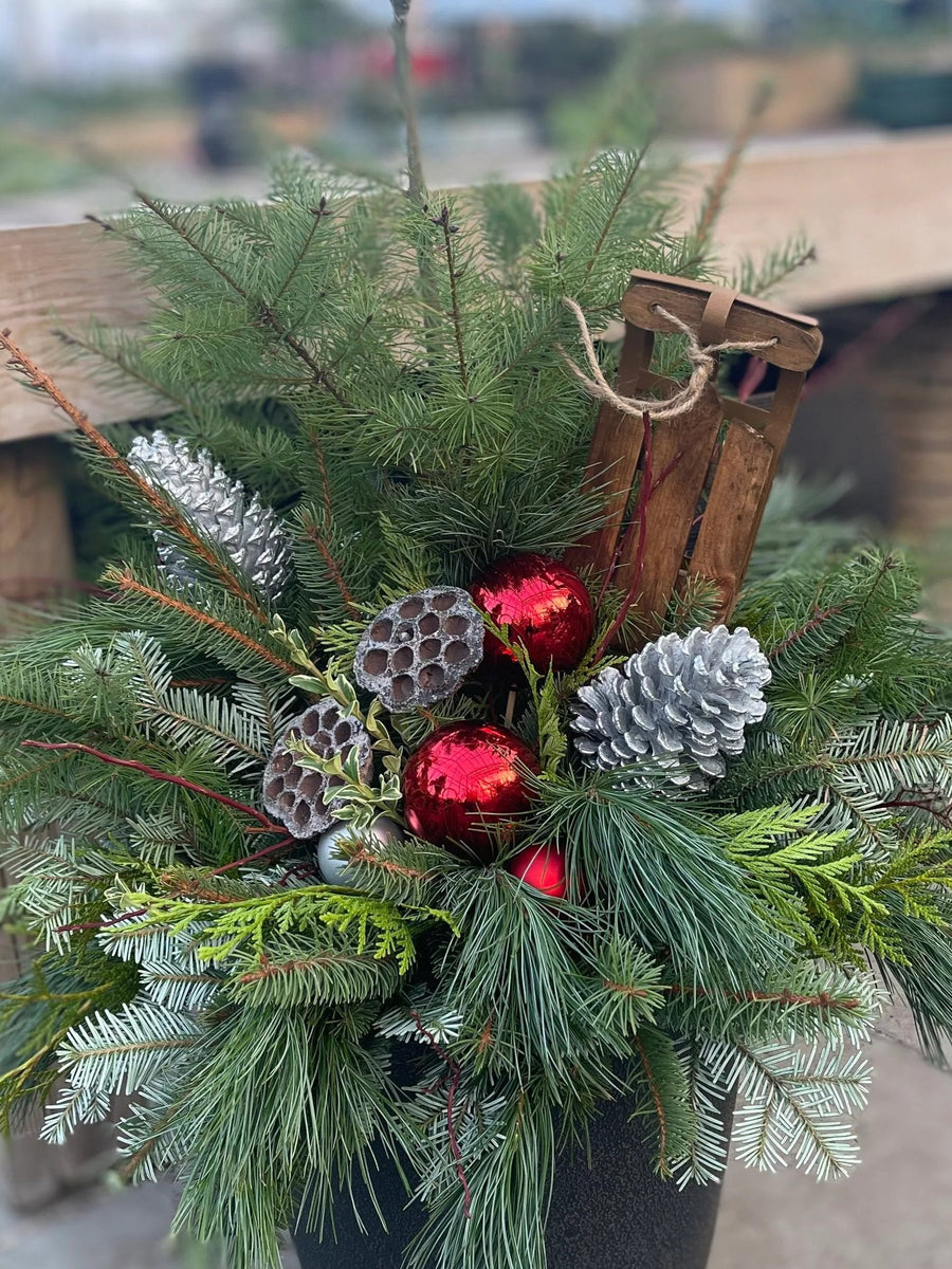 Winter Evergreens Planter Workshop - Various Dates Available