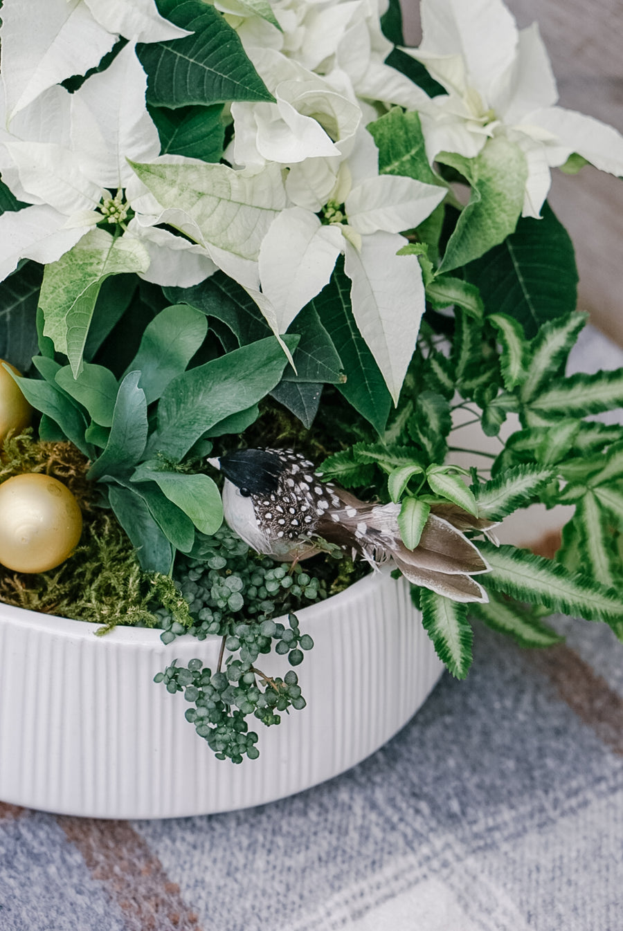 10" Bright Winter Star Planter