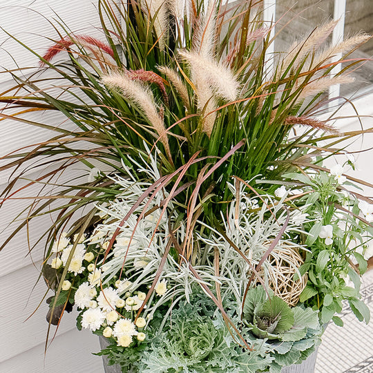 DIY Fall Planters with Grasses