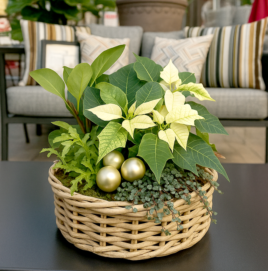 Workshop - Holiday Wicker Planter - Various Dates Available