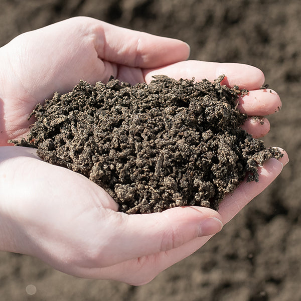 Bulk Garden + Landscaping Materials | Lawn + Turf Blend